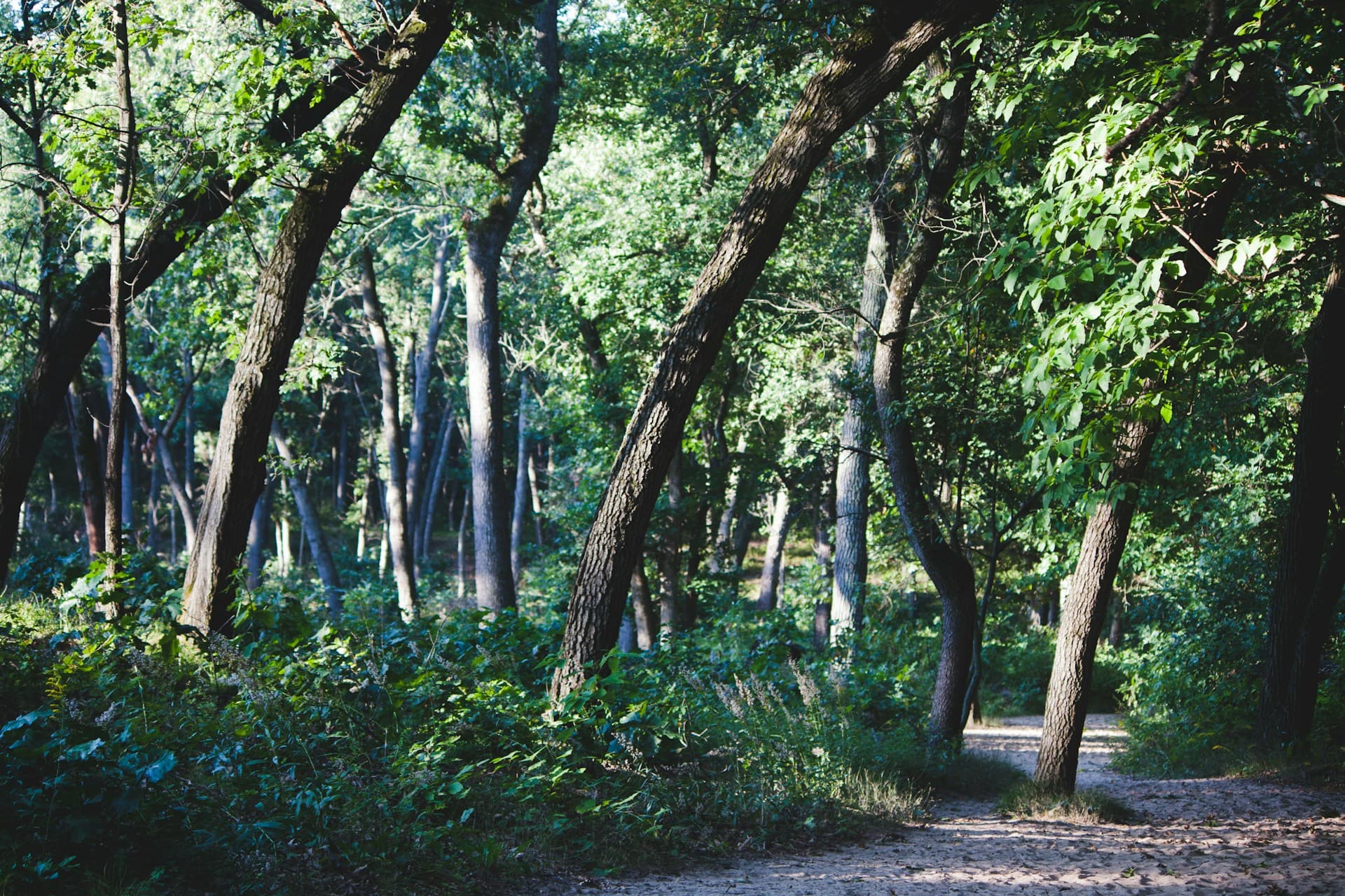 Spring Mill State Park scenery